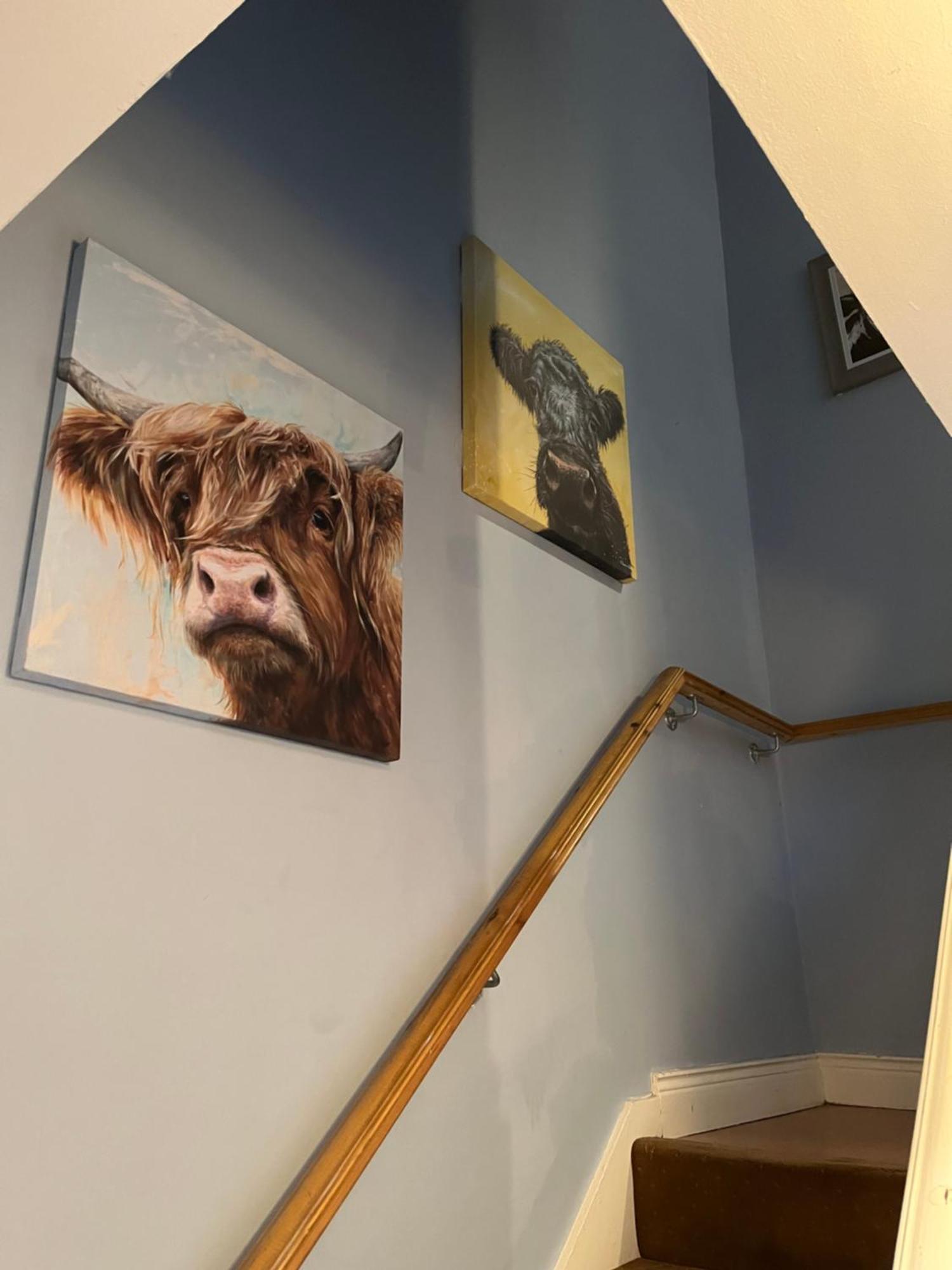 11 Parkmore Street, Ormeau Road, Belfast, Bt7 2Gt, 2 Bedroom House Экстерьер фото